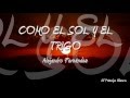 Como El Sol y El Trigo - Alejandro Fernández (Lyrics) - hg
