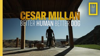 Better Human, Better Dog | National Geographic