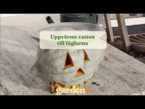 Halloween pumpkin and a heated birdbath in one - Gardenhacks by GardenR