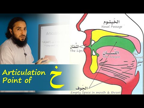 Articulation Point (Makhraj) of Khaa ( خ ) | Lesson 7