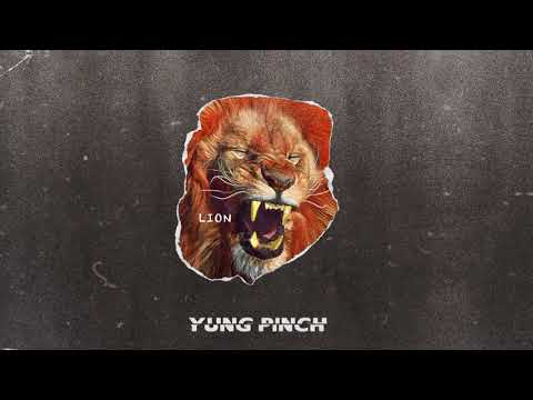 Video thumbnail for Lion