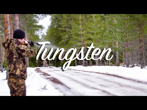NH: Fox Hunting With Tungsten (Action Highlights)