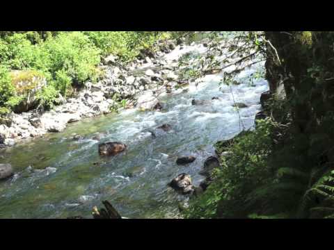 NO RIVER DON'T CRY