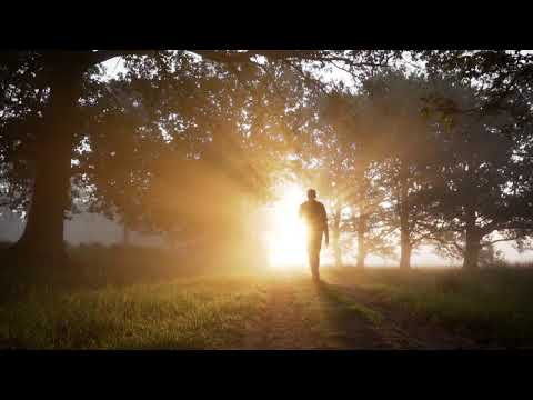 Peaceful Campfire at Sunrise - 5K Nature Relaxation Video with Crackling Fire Sounds