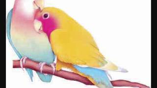 Brother Of Soul : Eyes Of Love (Lovebirds Remix) [Guidance Recordings]