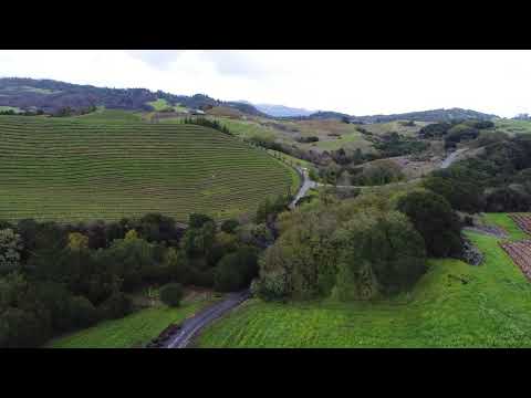 121 Mary Paige Video Tour