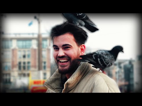 Ein ganz normaler Muffin aus Amsterdam