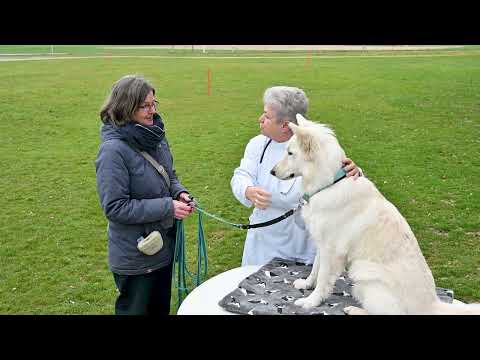 Die SKG: Fokus Zucht