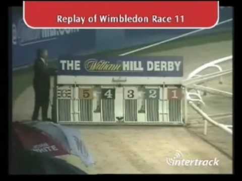 Lyreen Mover 29.05.2010 Williamhill.com greyhound derby final