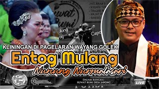 Download lagu NGOJENGKANG ENTOG MULANG NUNUNG NURMALASARI KLININGAN DI PAGELARAN WAYANG GOLEK mp3