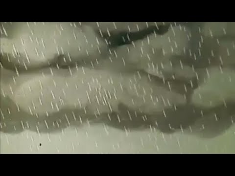 Kasko / Zsolaa / Bankos - Bent maradunk