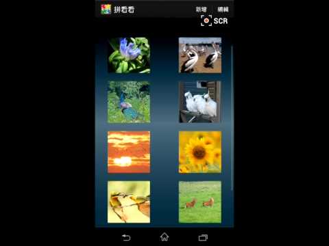 Puzzle It(Jigsaw Puzzle) Video