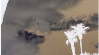 Skunk Sonically Speaking