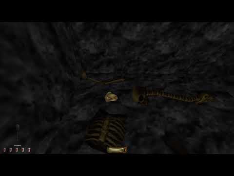 Thief Gold (blind) p10 + bonus