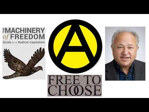 David D. Friedman: the Case for Anarcho-Capitalism Ep. 100