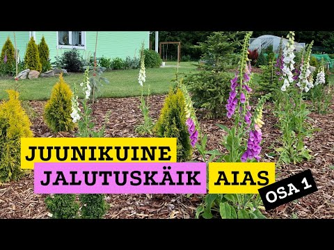 Juunikuine jalutuskäik aias | Osa 1 | Roheline maja