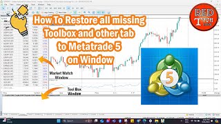 How to restore missing panels in meta trade 5 application on Window