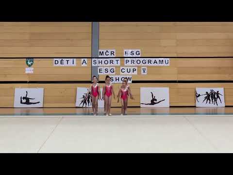 MČR v ESG 1.6.2019 1.provedeni