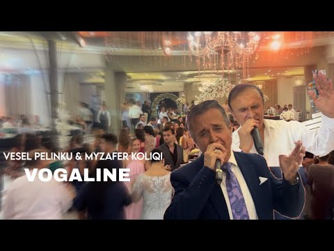 Myzafer Koliqi & Vesel Pelinku Ardit Seferi. Dasma Madheshtore Suzana&Arianit Doda LIVE HD 