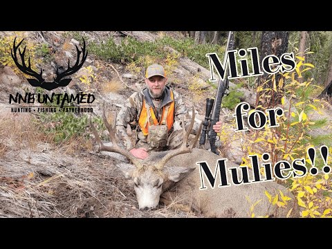 DIY Washington Mule Deer Hunt | PUBLIC LAND GRIND | "Miles For Mulies!"