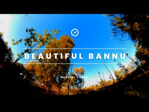 cinematic videography of local bannu nature