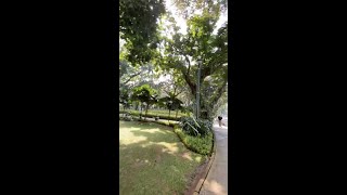 Jalan-jalan taman di Menteng