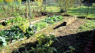 LE JARDIN DE MON PERE