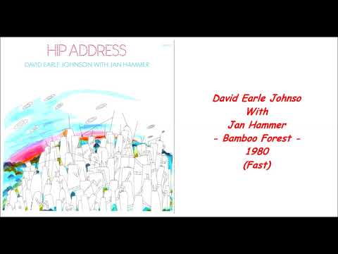David Earle Johnson With Jan Hammer - Bamboo Forest - 1980 (Fast)