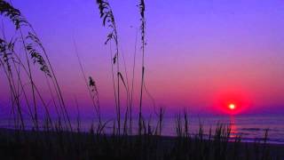 Woodale- She's got a way