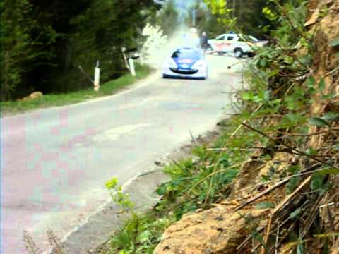 rally mille miglia 2011 andreucci velocissimo sul dosso