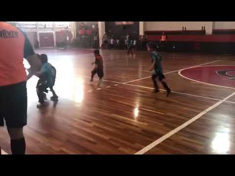 Gol do Rafinha 10 Flamengo x canto do Rio sub 7