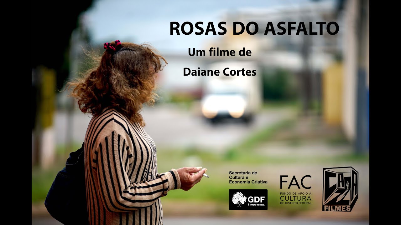 ROSAS DO ASFALTO