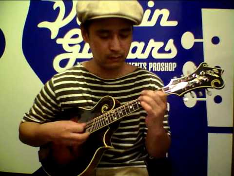 Dolphin Guitars - GIBSON：The Gibson 