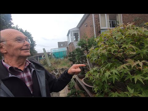 Chatting Bonsai with Graham Morris South Yorkshire Bonsai Society Chairman, followed by a bench tour
