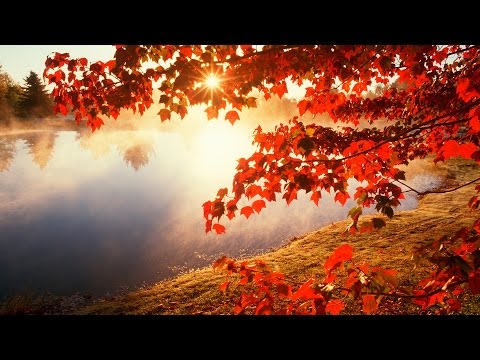 Miresia e Besimit   ( Ahmed Kalaja )