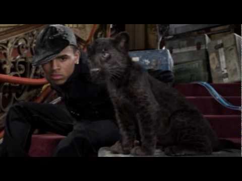 Andre Merritt ft. Chris Brown - Erased