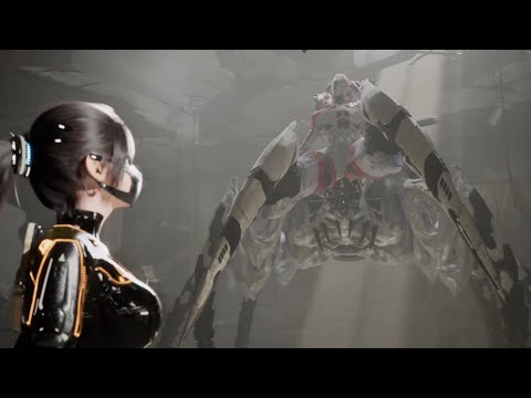 DISORDER - Floor 1: White vs. DDIS