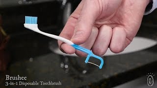 Brushee Disposable Toothbrushes: 24-Pack
