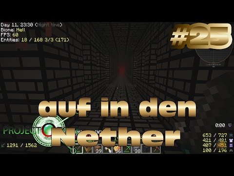 auf in den Nether in Project O Zone 2 Reloaded #25