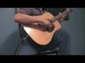Michael Hedges "Theme from Hartari"