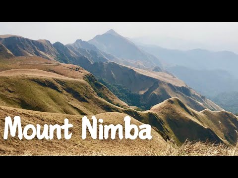 Exploring Mount Nimba: Côte d'Ivoire's Hidden Gem