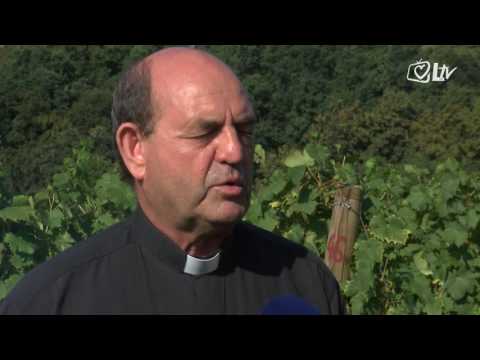 Izdvojeno 2.9.2016. - Pokemon GO