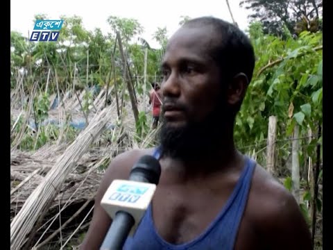 ঘুর্ণিঝড় রিমালে দুই উপকূলীয় জেলায় ব্যাপক ক্ষয়ক্ষতি