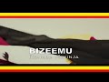BIZEEMU BY RONALD MAYINJA
