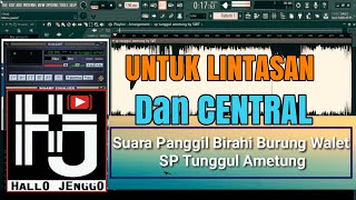 Download lagu Suara Panggil Burung Walet Birahi mp3