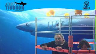 DIA 2 Expo Tiburon139