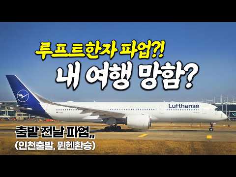 루프트한자 항공 이용기: 이점과 함정들!