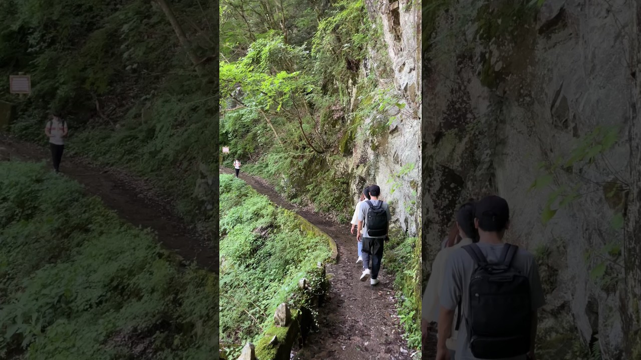 YouTube Short thumbnail