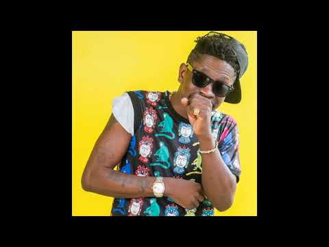Shatta Wale - See Da Fool (Audio Slide)