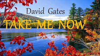 TAKE ME NOW -  DAVID GATES lyrics (HD)